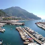 Zaffiro Maiori