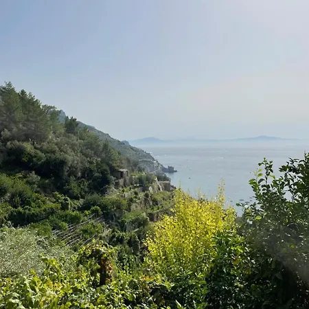 Zaffiro Apartament