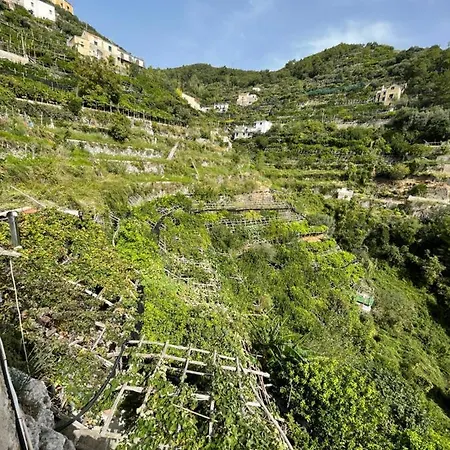 Appartamento Zaffiro